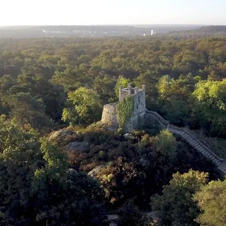 Charmant Studio Centre Apartment Fontainebleau